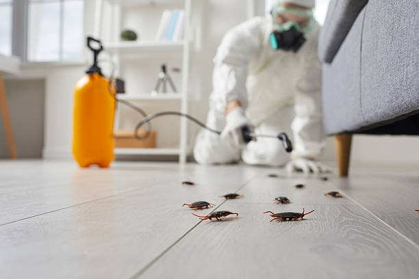 Commercial Kitchen Cockroach Control in Fairmount